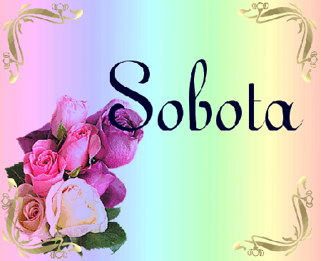 Kolorowe brokatowe róże sobota
